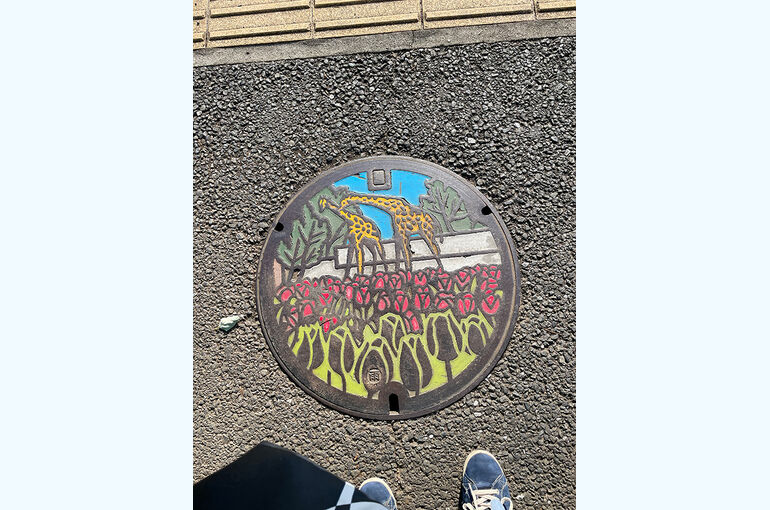 YDS