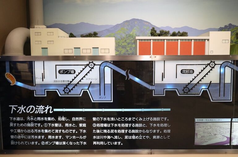 YDS